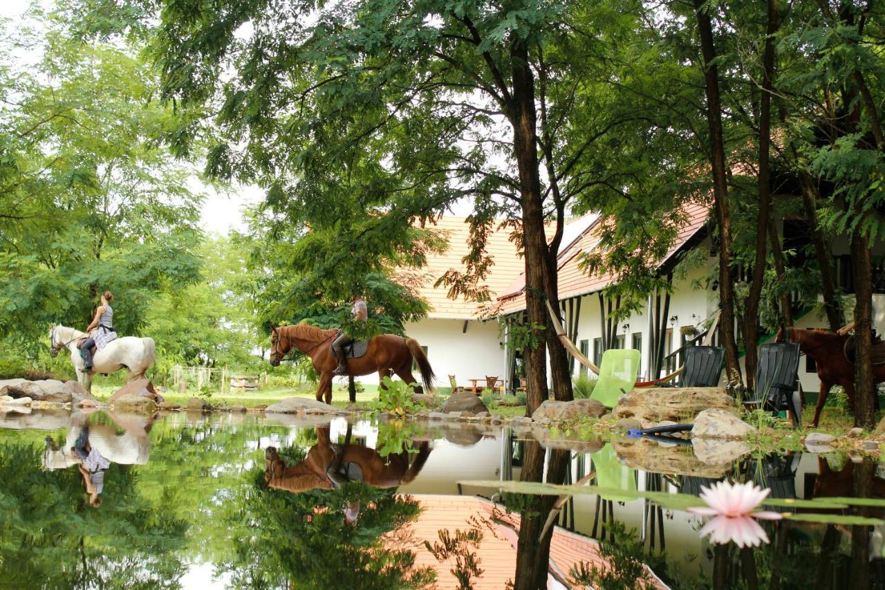 Hotel Hunor Lovastanya à Kunbaracs Extérieur photo